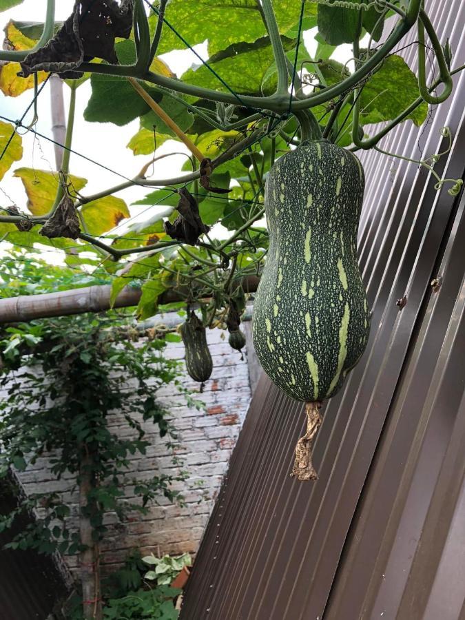 Nhà của Nếp Plei Brel Exterior foto
