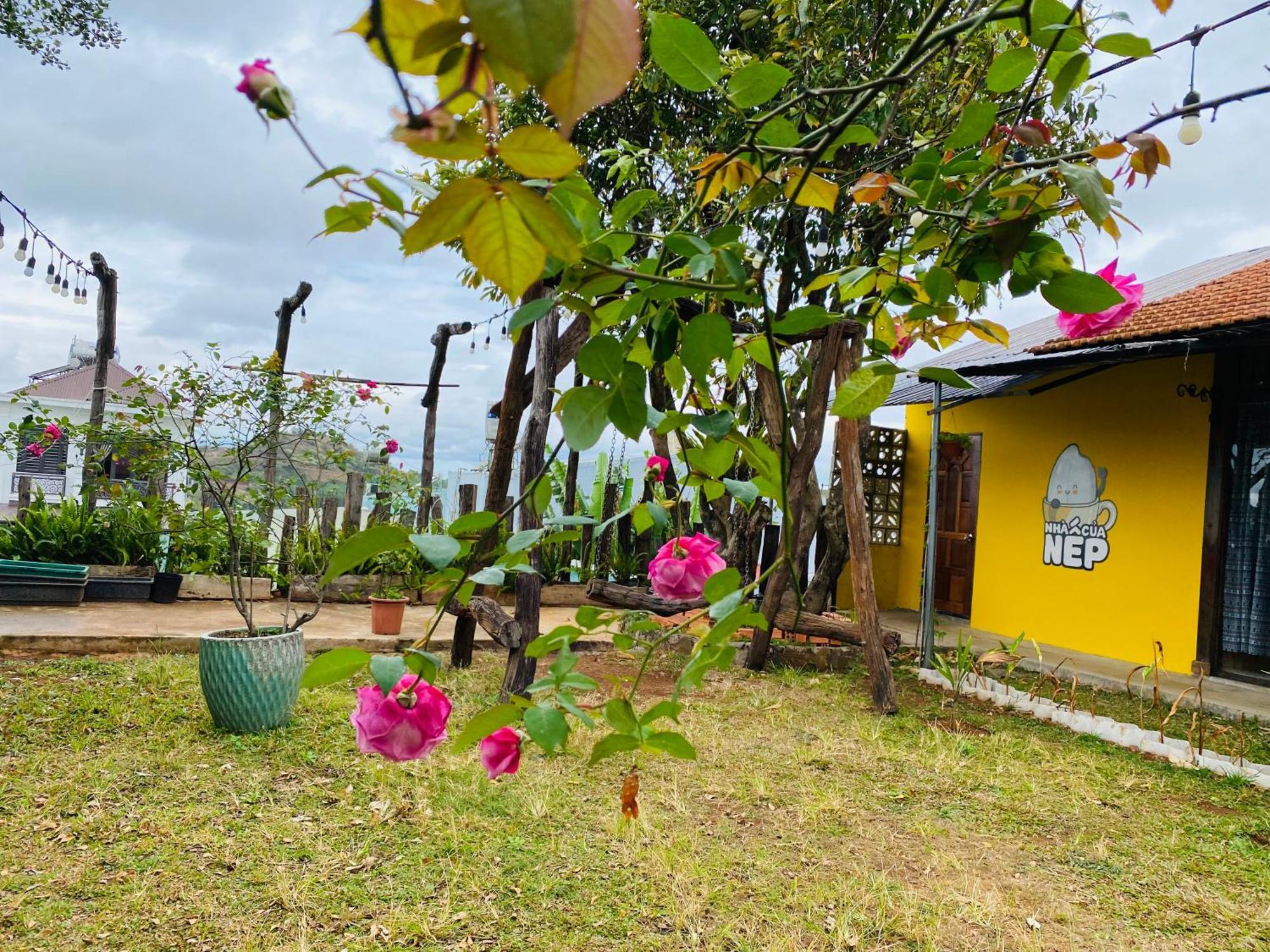 Nhà của Nếp Plei Brel Exterior foto